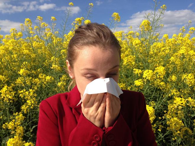Zwischen Bltenduft und Allergiebeschwerden