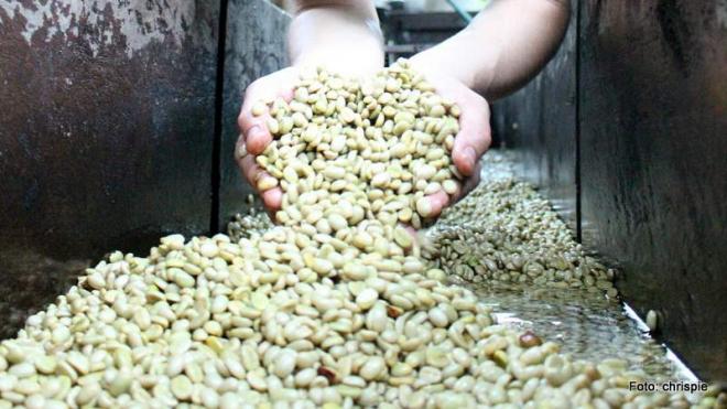 Große Armut, Hunger und Krankheit unter den Erntehelfern Große Armut, Hunger und Krankheit unter den Erntehelfern