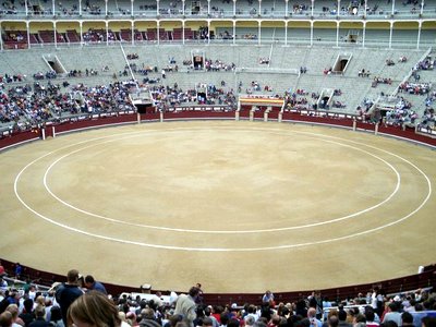 Bild zu Quer durch Madrid