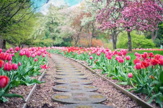 Grn, Grner, Gartenparadies: Frhlingserwachen im heimischen Garten