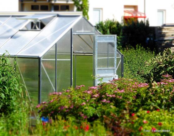 Biologischer Gartenbau: Wie der Garten ökologisch wertvoller wird
