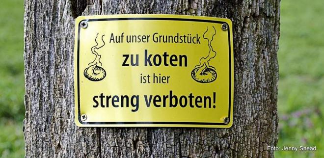 Über Hundehaltung in der Stadt reden Über Hundehaltung in der Stadt reden