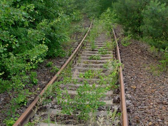 Freistaat Sachsen will Herrnhuter Bahn reaktivieren