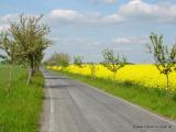 Bild zu Fahrradtour durchs "Land der Umgebindehuser"