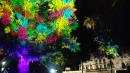 Bildtitel: Ring of Fire on Feier Bild zu Ring of Fire on Feier
