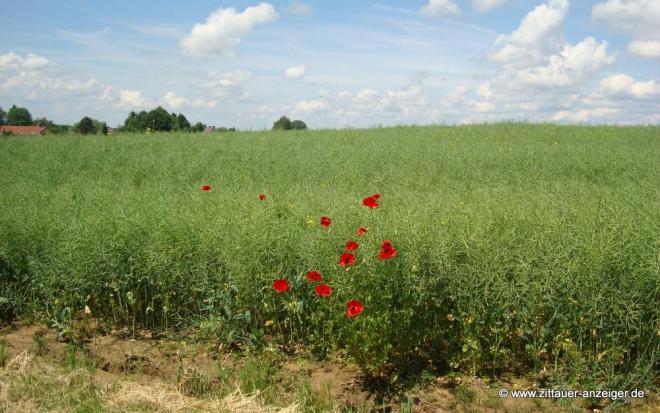 Landwirte brauchen umfassendes Wissen für die integrierte Landwirtschaft Landwirte brauchen umfassendes Wissen für die integrierte Landwirtschaft