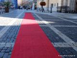 Bild zu Zittau aktualisiert Kulturleitlinien