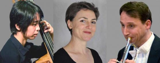 Bild zu Stunde der Musik: Salon-Trio Dresdner Solisten verzaubert Zittau