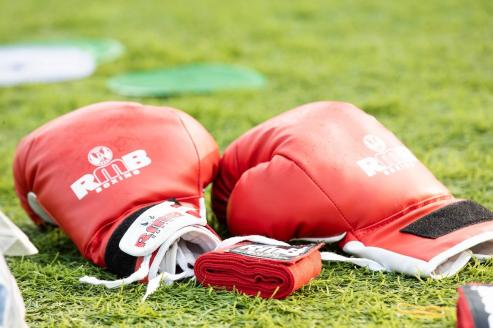 Bild zu Internationales Boxturnier in Zittau angekndigt
