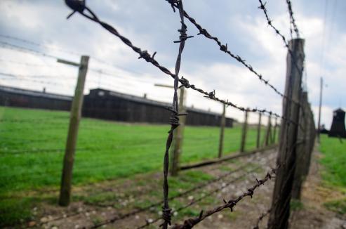 Bild zu Zittau ehrt Holocaust-Opfer: Kranzniederlegung und Kunstausstellung