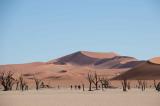 Bild zu Was macht Namibia zu einem einzigartigen Reiseziel?