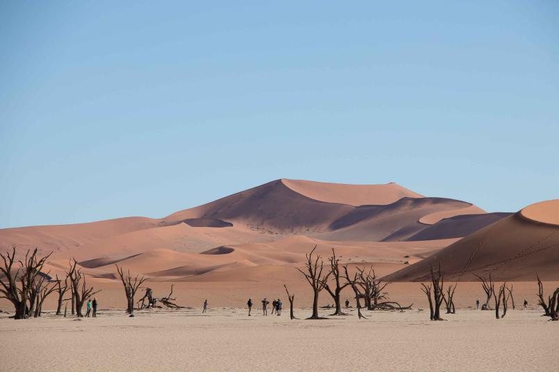 Bild zu Was macht Namibia zu einem einzigartigen Reiseziel?