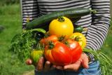 Urban Gardening als Thema zum Tag der Umwelt